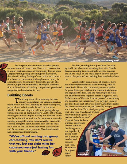 Article by Cade Lam